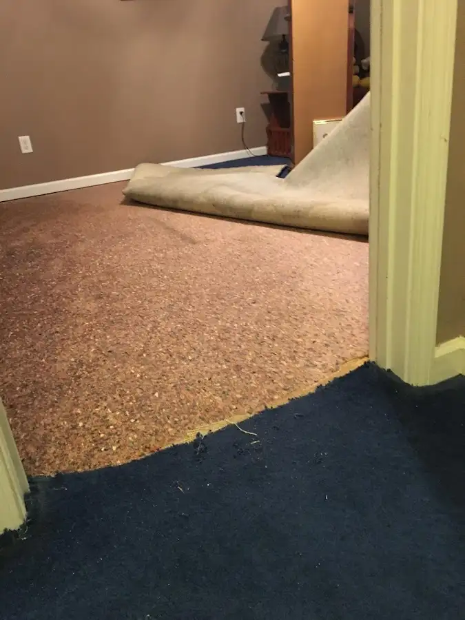 Carpet pad removal revealing water damage during Drying & Dehumidification in Muskegon