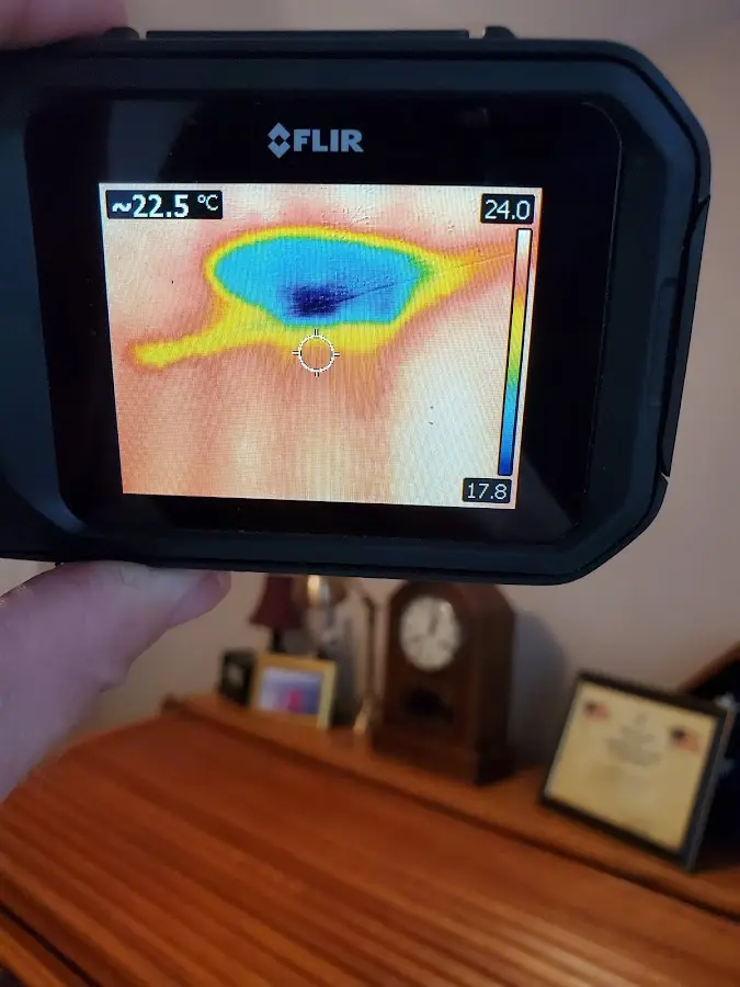 Thermal imaging inspection for water damage in Muskegon