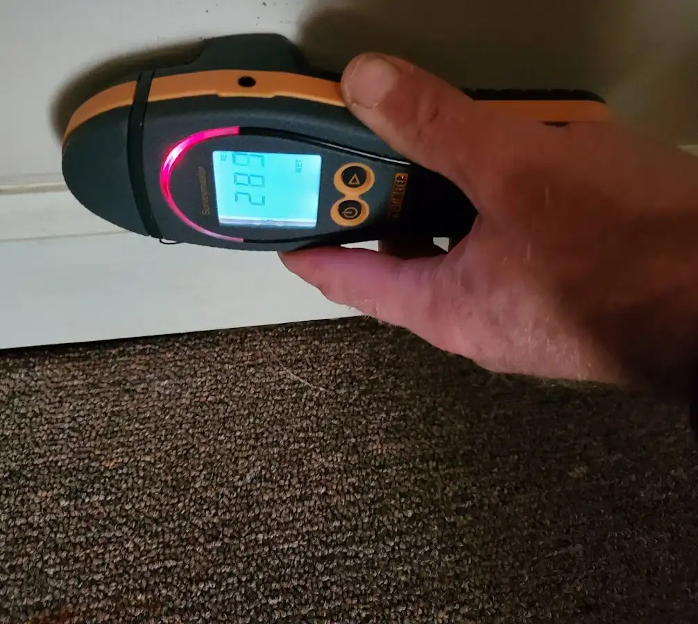 Moisture detection at baseboard during Burst Pipe Cleanup in Muskegon